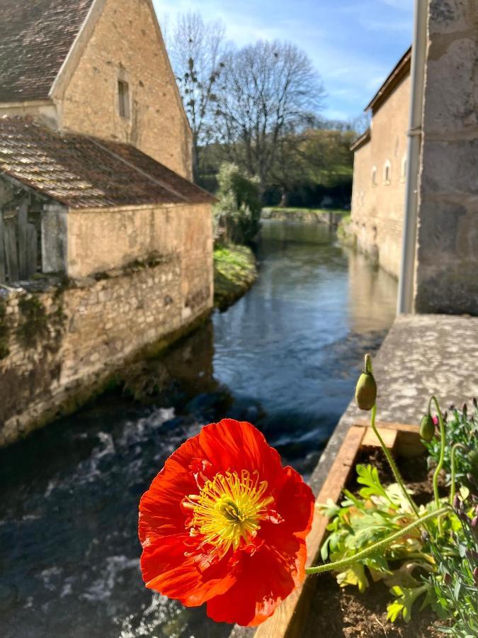 Bed and Breakfast La Treille Muscate Tannay  Esterno foto